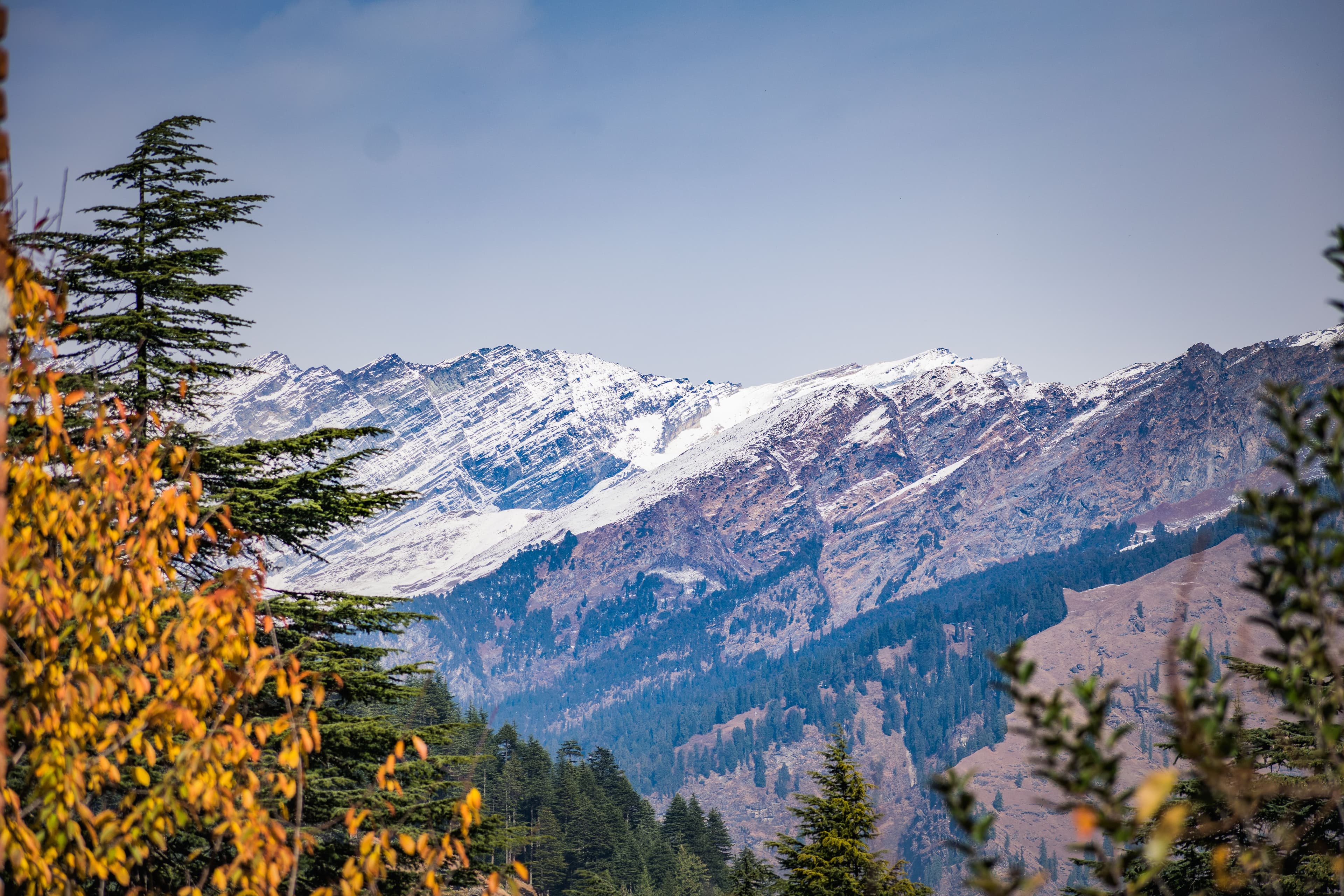 Manali Tour Package - Photo 2
