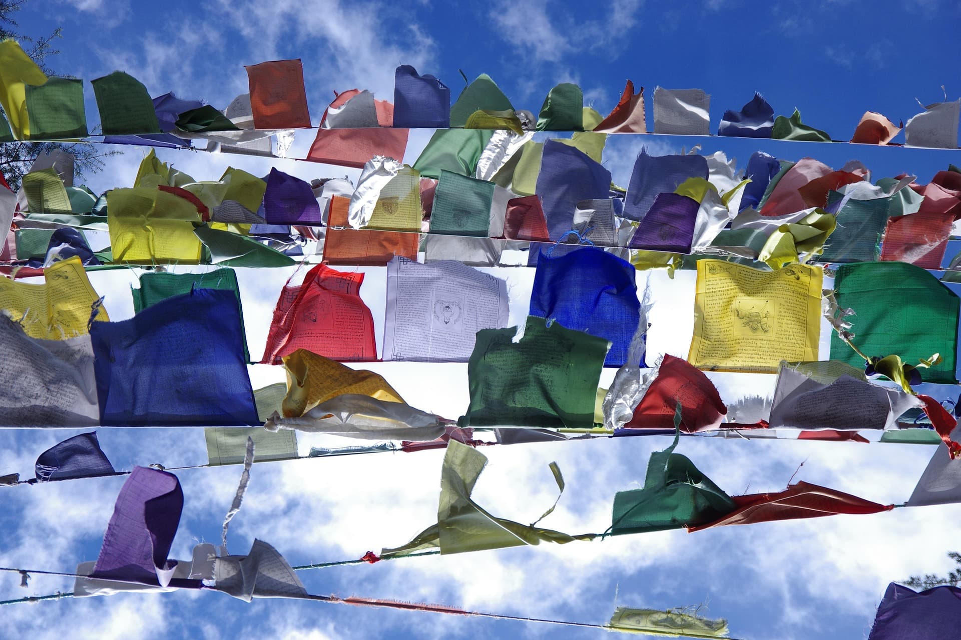 Dharamshala & McLeodganj Weekend Escape - Photo 4