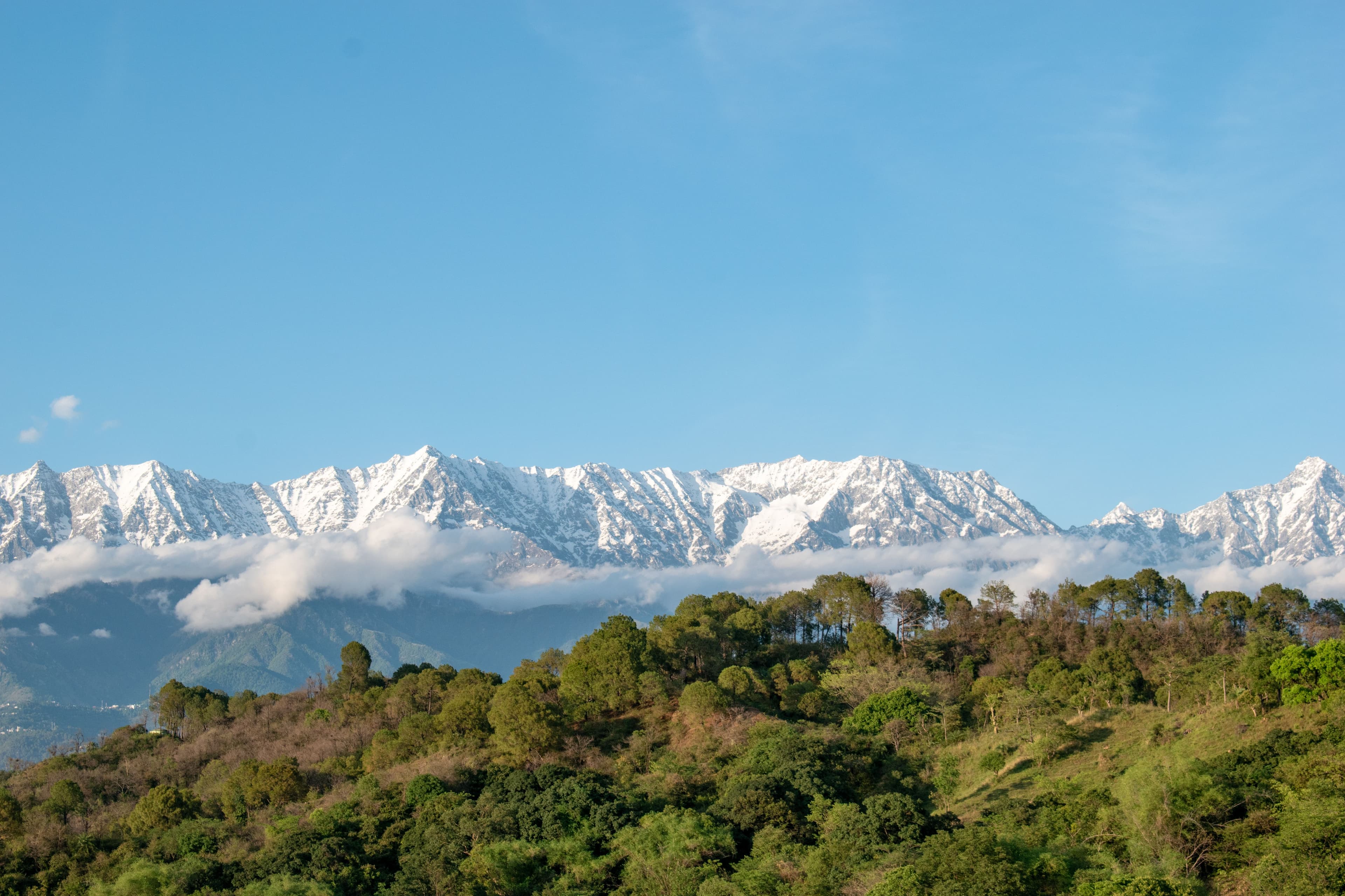 Dharamshala & McLeodganj Weekend Escape - Photo 5